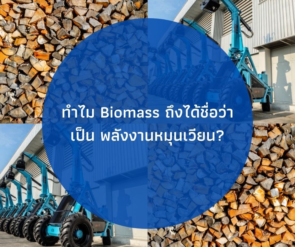 ทำไม Biomass ถึงได้ชื่อว่าเป็น พลังงานหมุนเวียน ? บทความนี้มีคำตอบ