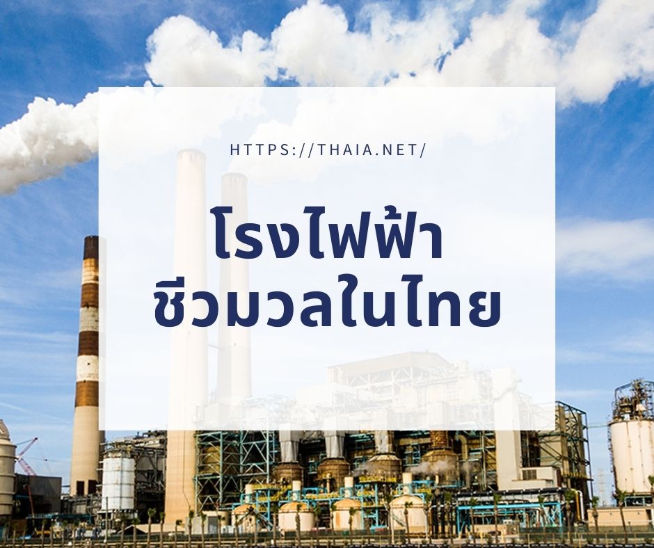โรงไฟฟ้าชีวมวลในไทย ไปทำความรู้จักกับโรงฟ้าไฟชีวมวลในไทยกันมายิ่งขึ้น โรงไฟฟ้าพลังงานชีวมวลในไทยนั้นจะมีอยู่ 4 ประเภท